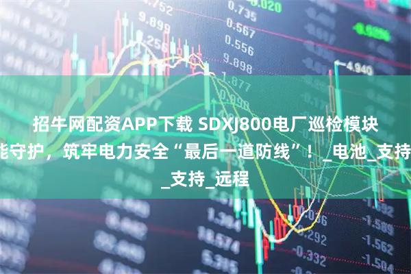 招牛网配资APP下载 SDXJ800电厂巡检模块:智能守护,筑牢电力安全“最后一道防线”!_电池_支持_远程